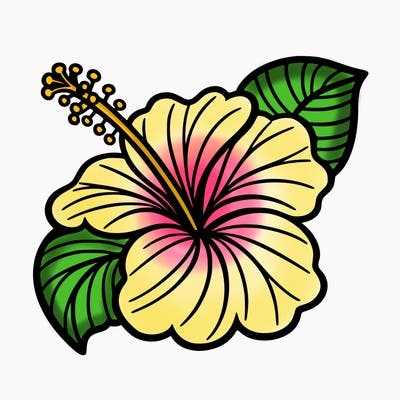 hibiscus flower