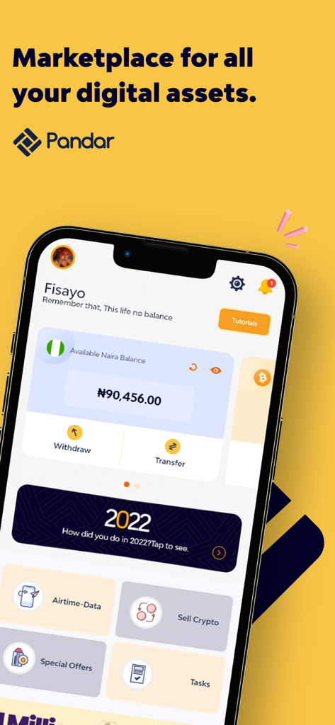 Pandar App - Pandar mobile app dashboard displaying a Naira wallet balance and options for transfers and bill payments