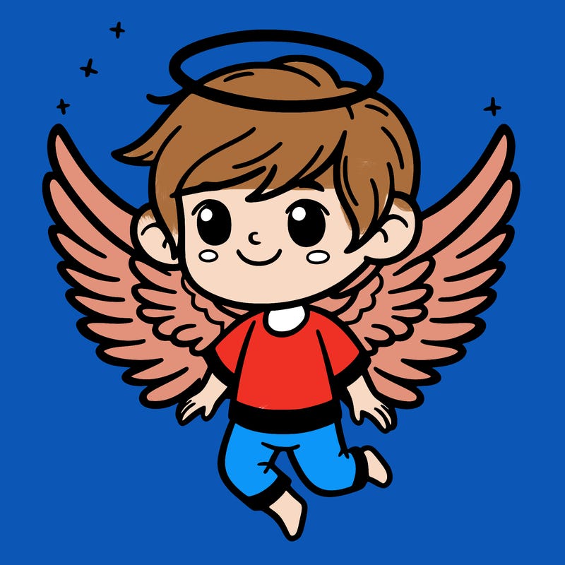 boy with wings