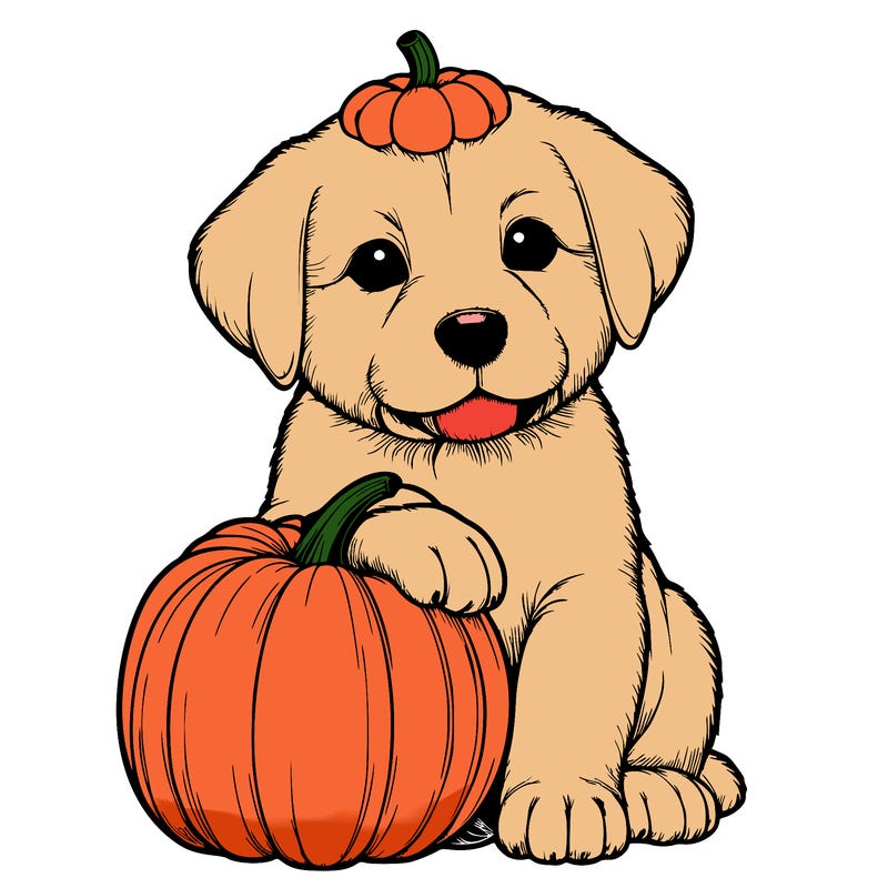 a realistic puppywith a pumpkin on his head