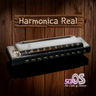 Harmonica Real Pro