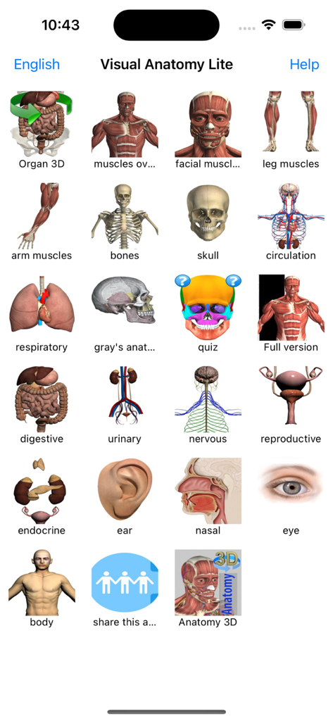 Visual Anatomy Lite - Main menu of the Visual Anatomy Lite app showing categories for various human anatomical systems like muscles bones and organs