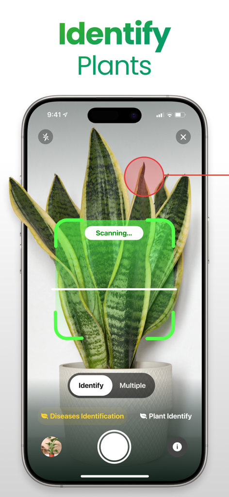 Plant App: Plant Identifier - Smartphone screen displaying the Plant App scanning a snake plant for identification