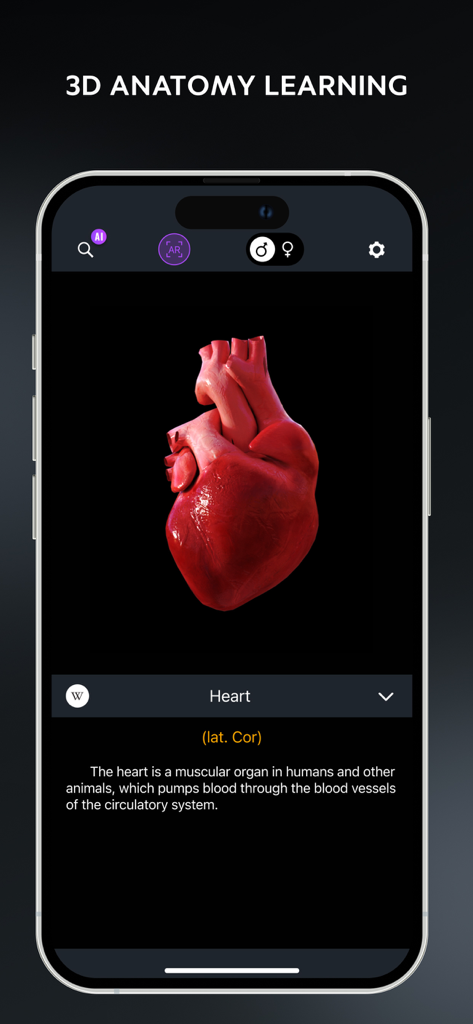 Human Body Atlas: 3D Medical - Modelo 3D detallado de un corazón humano con descripción anatómica en una pantalla móvil