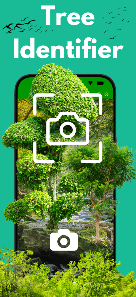 Plantsnap Plant Identifier - Mobile app interface for identifying trees using a camera