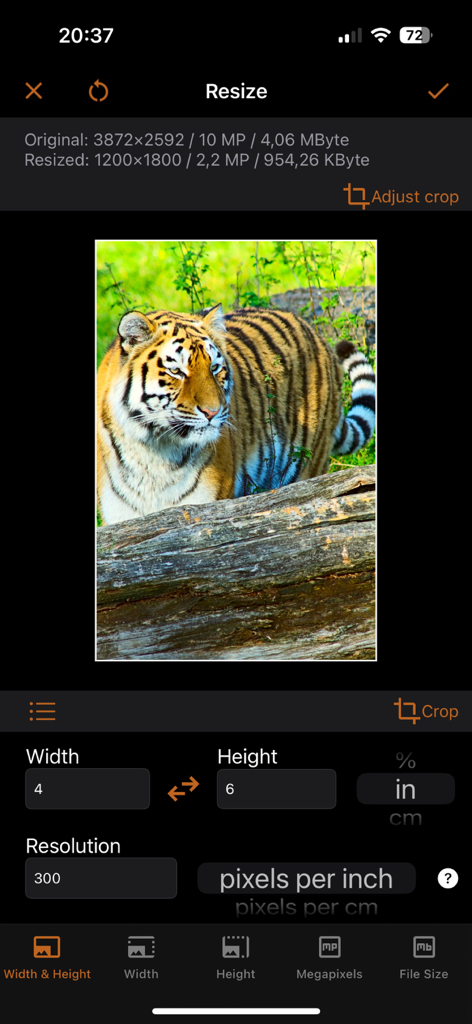 Interface de l'application iSize affichant les paramètres de largeur et de hauteur en pouces et la résolution en pixels par pouce pour une photo de tigre
