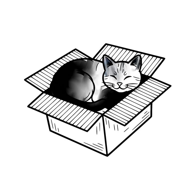 cat in box