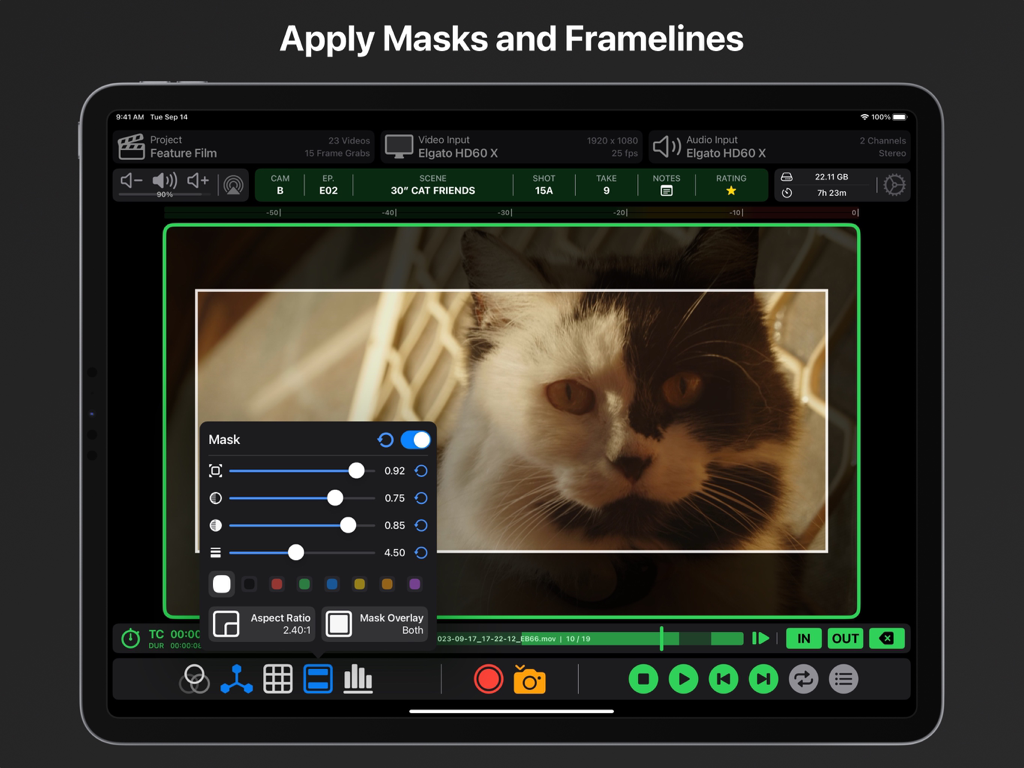 Interfaz de la aplicación Video Assist para iPad mostrando máscaras de relación de aspecto y líneas de encuadre ajustables para monitorización de video profesional.
