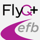 FlyQ+ EFB