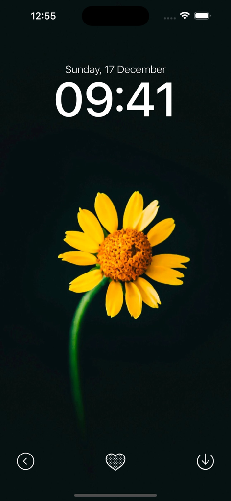 Black Wallpaper App - A yellow flower on a solid black background for iPhone lock screen