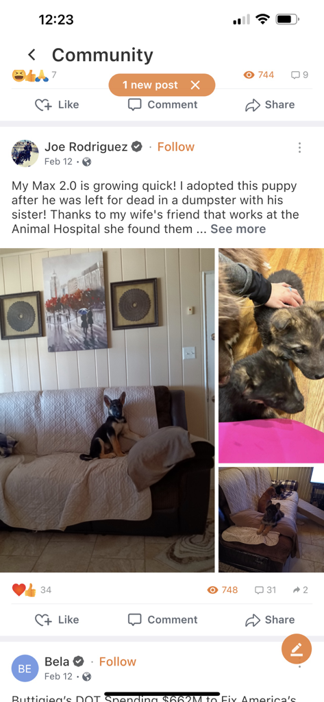 SafeChat — Secure Chat & Share - SafeChat app community feed showing a user post with puppy photos and social interactions