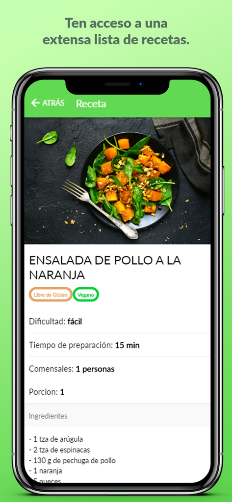 Nutrify - Nutrify app interface showing a recipe for orange chicken salad with ingredients and prep time