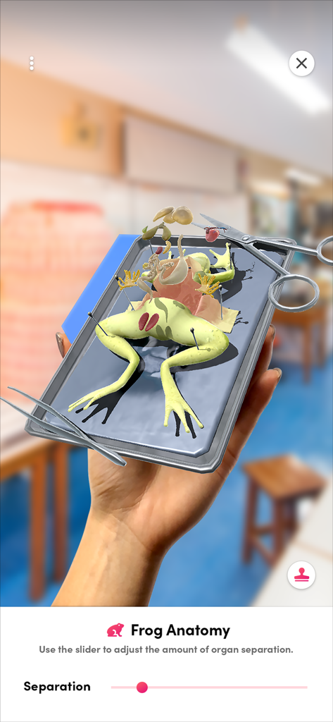 Merge Explorer - Virtual frog dissection in augmented reality using Merge Explorer