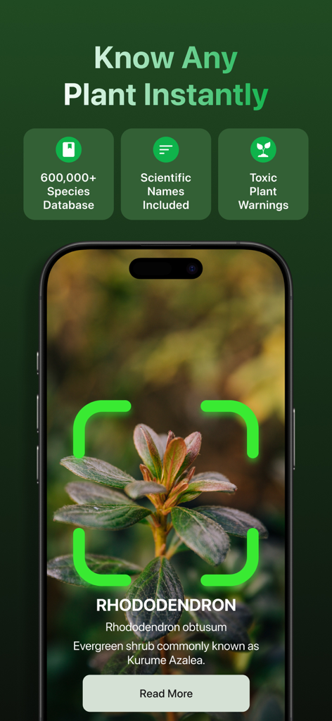 Florio: Plant Identification - A smartphone screen displaying the Florio app identifying a Rhododendron plant using its camera recognition feature.