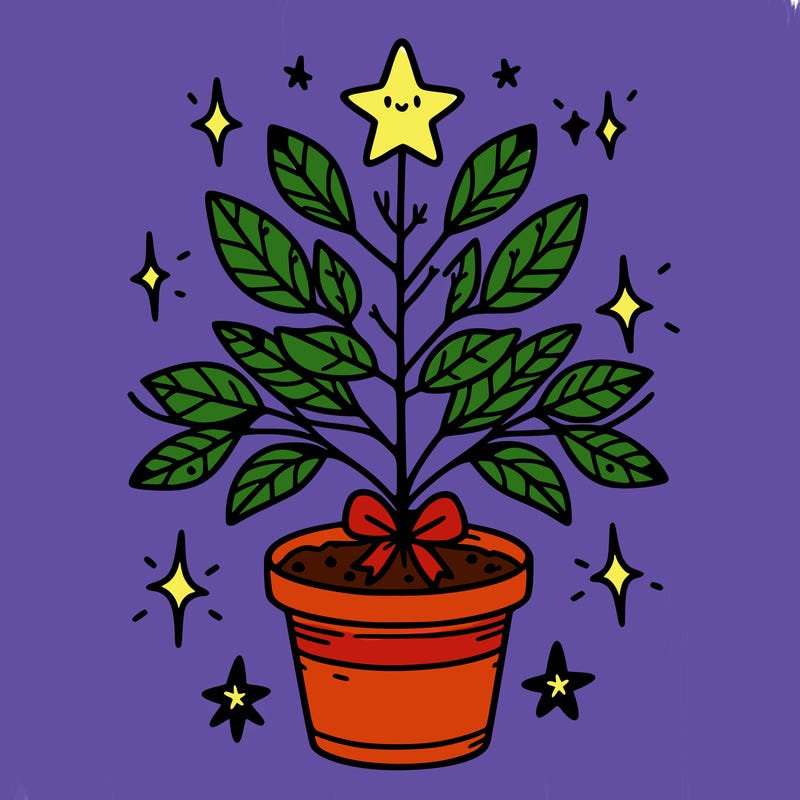 christmas plant