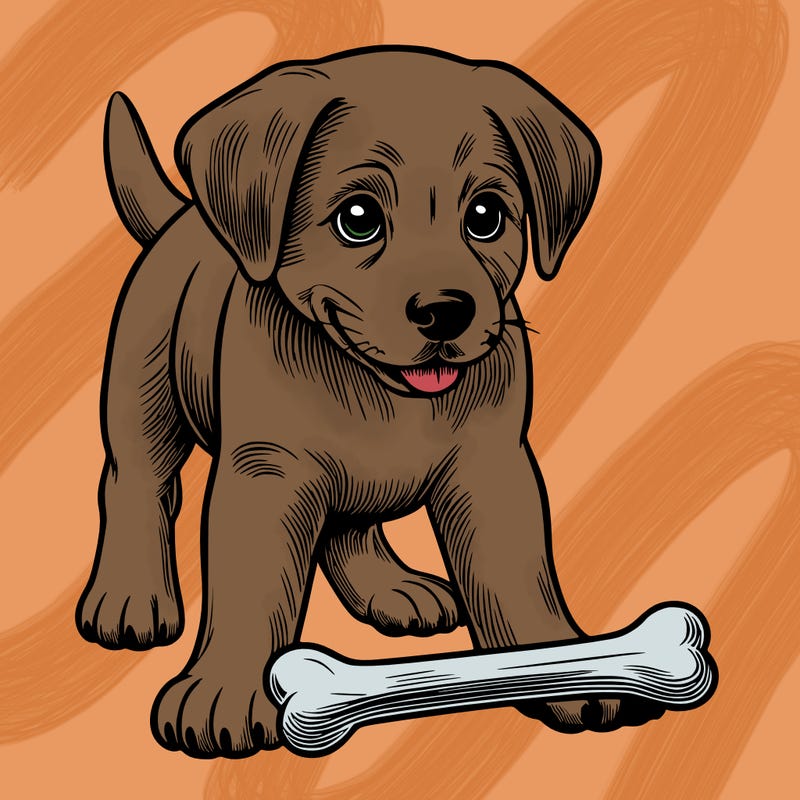 dog with a bone realistic