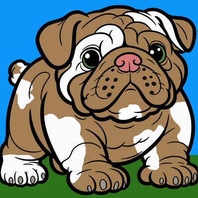 bulldog