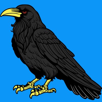 raven