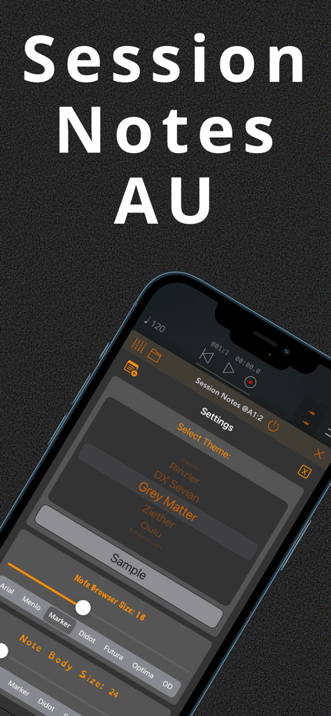 Session Notes AU - Pantalla de configuración de Session Notes AU que muestra la selección de tema y las opciones de tamaño de fuente para productores de música