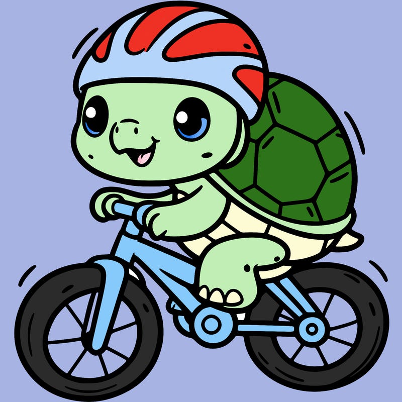 turtle on a bike