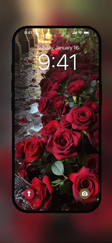 Red Rose Wallpapers Flowers - Graphics & Design App | MWM