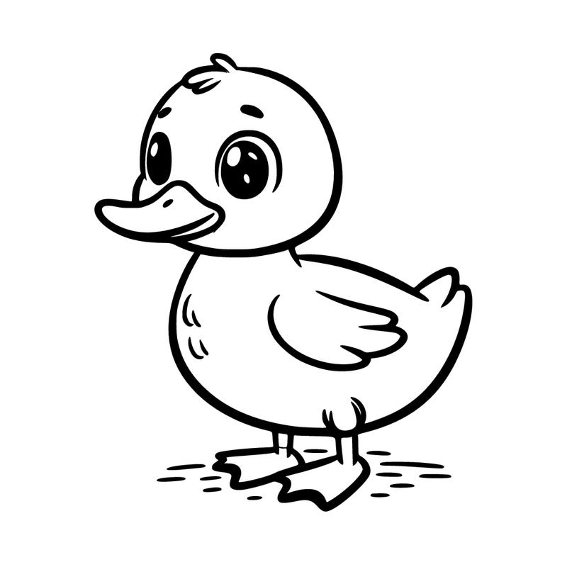 a duck