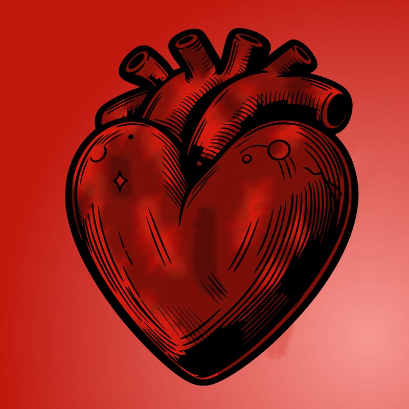 realistic heart