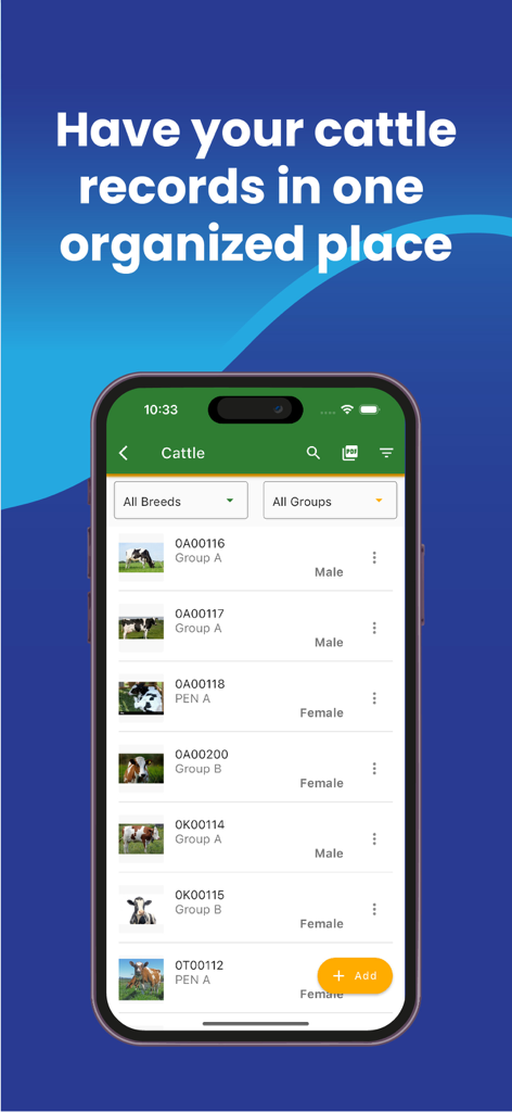 Liste der Rinderaufzeichnungen mit Fotos und IDs in der My Cattle Manager App.