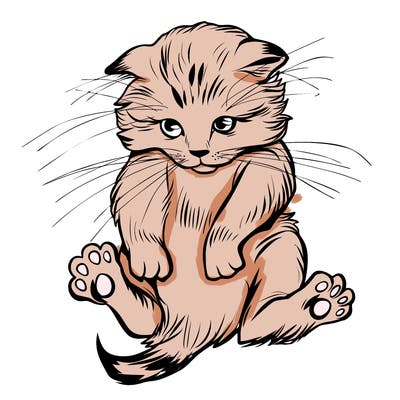 animals_20
