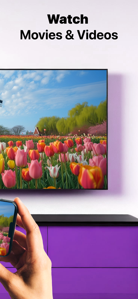 Eine Person, die ein iPhone verwendet, um ein Video eines Tulpenfeldes drahtlos auf einen Sony Smart TV zu spiegeln.