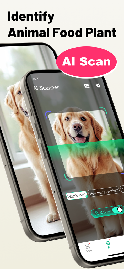 Safe QR Barcode Reader Creator - App interface displaying AI identification of a golden retriever dog