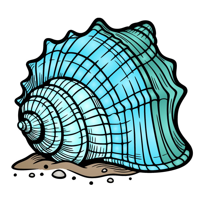 sea shell