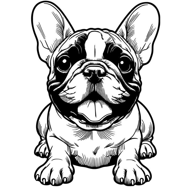 realistic french bulldog