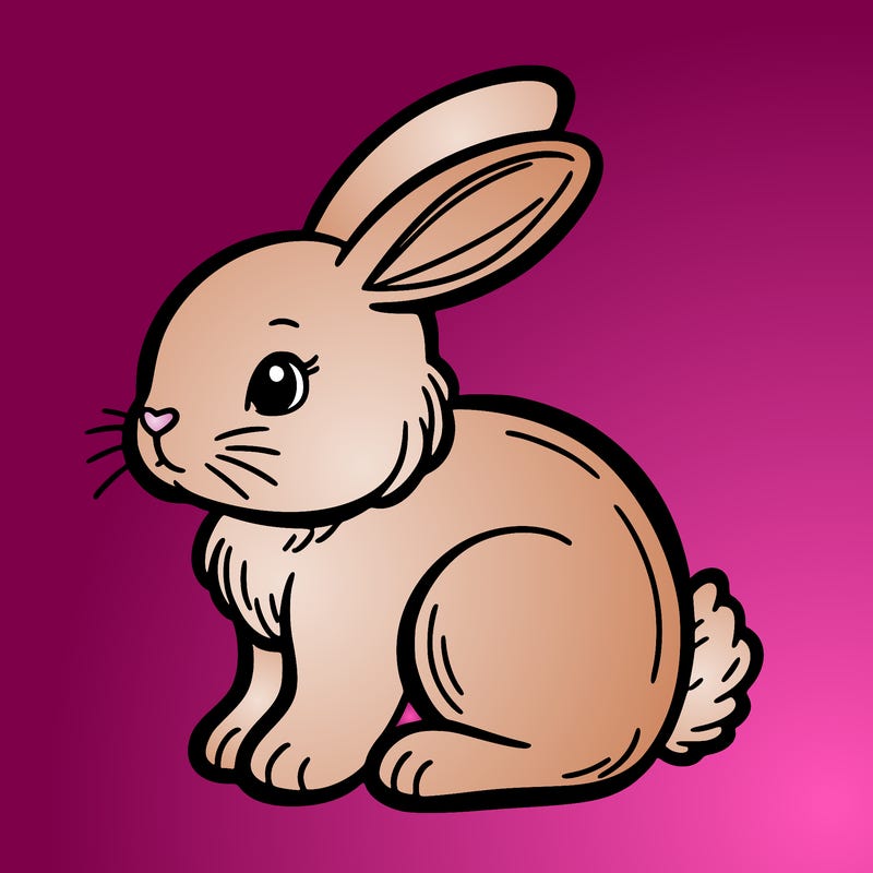 bunny