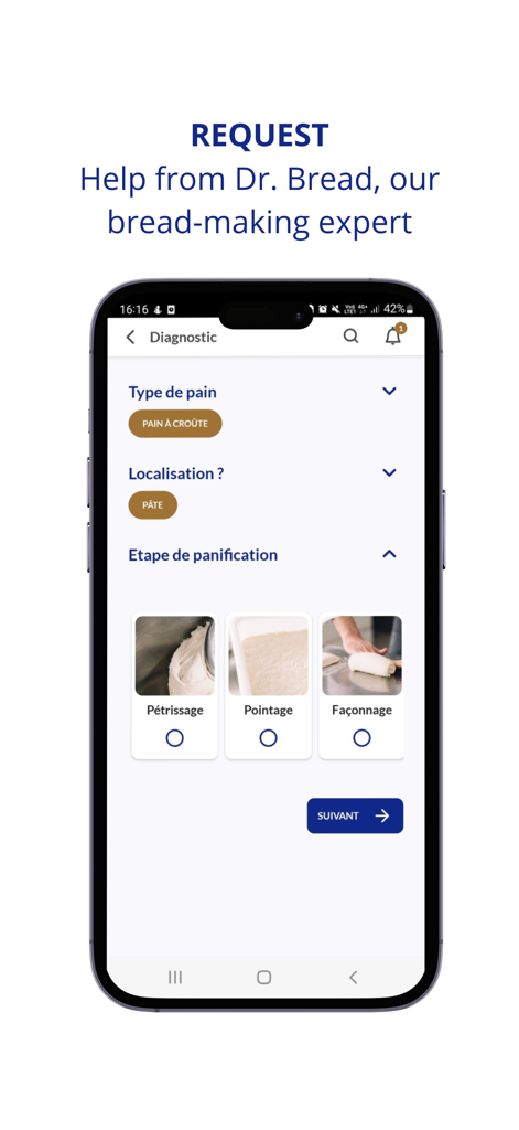Smartphone displaying the Dr. Bread diagnostic tool for troubleshooting professional bread-making stages