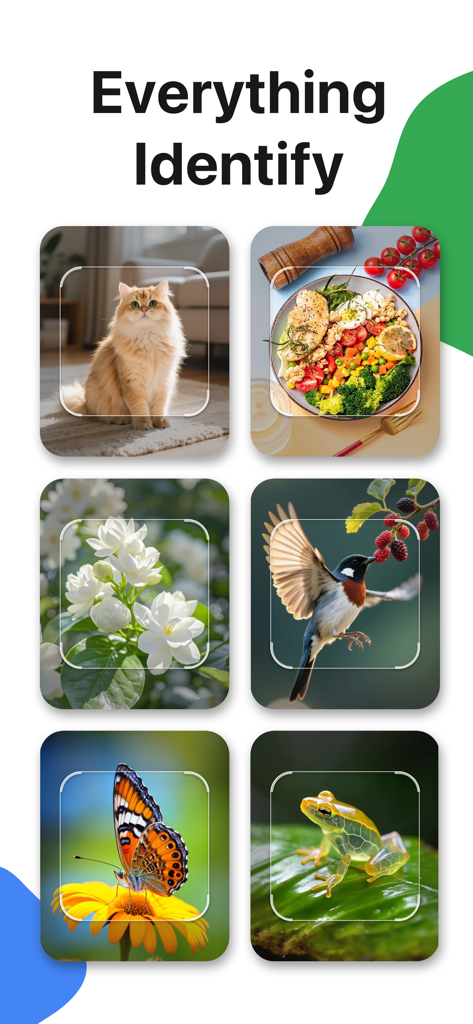 Scanner-picture this - Interface showing the Scanner-picture this app identifying various objects like a cat food flowers a bird a butterfly and a frog