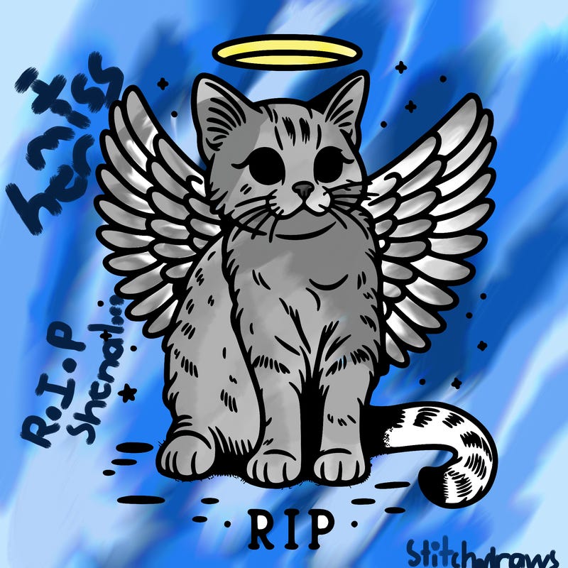 rip cat realistic cat with angel wings