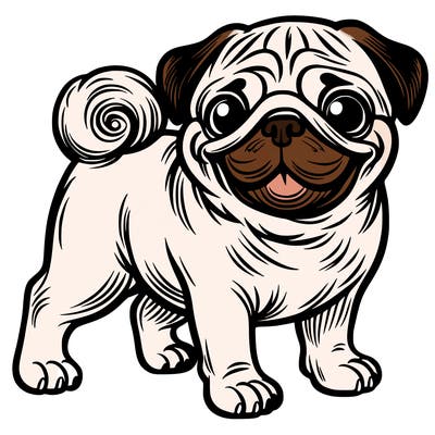 pug dog