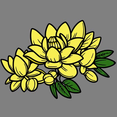 kwai flower