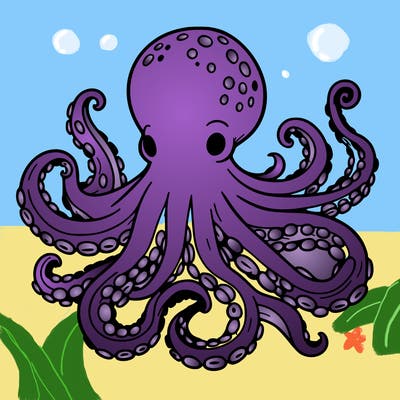 octopus
