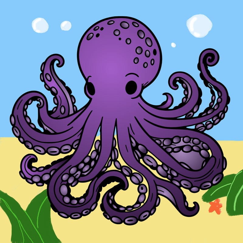 octopus