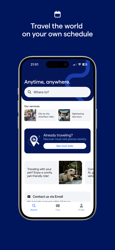 Daytrip: Transfers and trips - Daytrip mobile app interface showing options for private chauffeur rides and sightseeing tours.