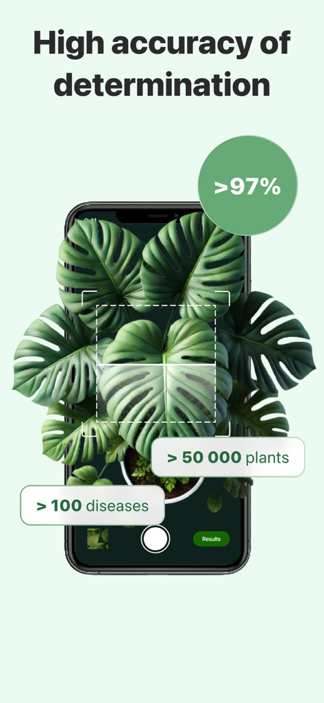 Plant Disease Identifier. - スマートフォンが植物病害識別アプリを使用してモンステラの葉をスキャンしており、97%以上の精度を示しています