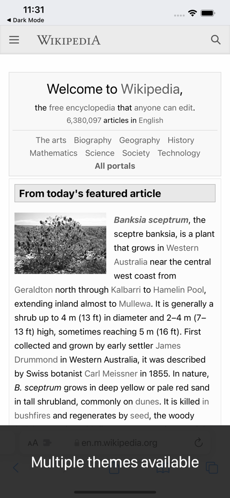 Uma página da Wikipédia exibida com um tema personalizado de conforto ocular usando a extensão Modo Escuro para Safari