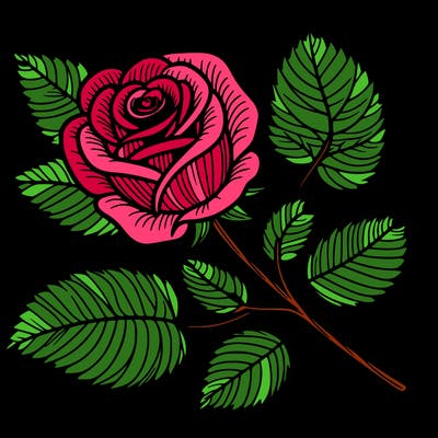 rose