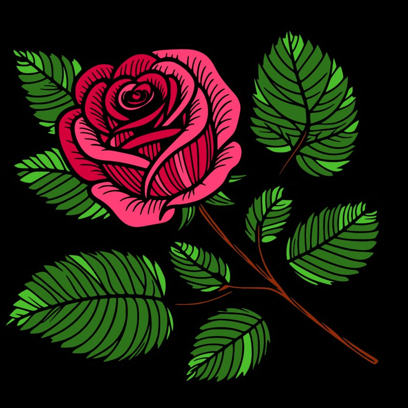 rose