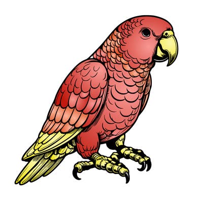 realistic parrot