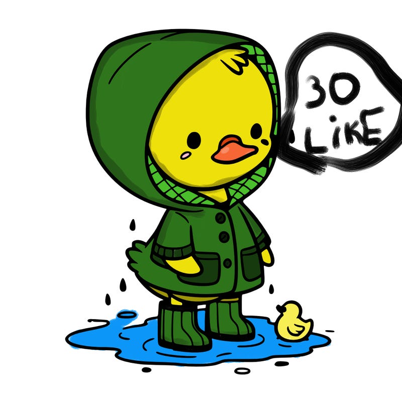 baby duck in a rain coat and boots, in a puddle while it’s raining