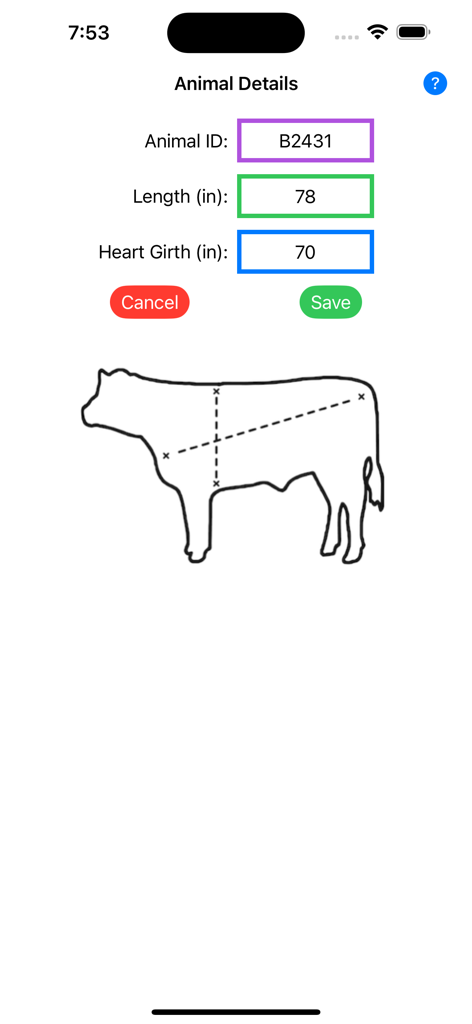 Cattle Weight Estimator - 소의 측정 위치를 보여주는 다이어그램과 함께 동물 ID, 길이 및 심장 둘레 필드가 있는 소 무게 추정기 앱의 동물 세부 정보 입력 화면.