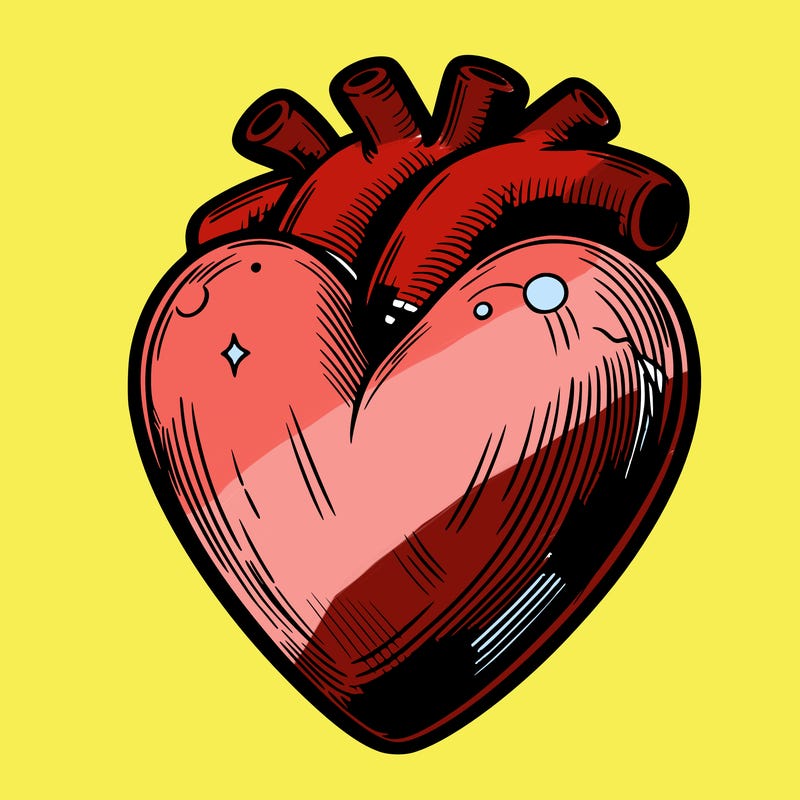 realistic heart